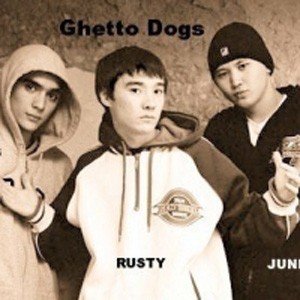 Ghetto dogs - 